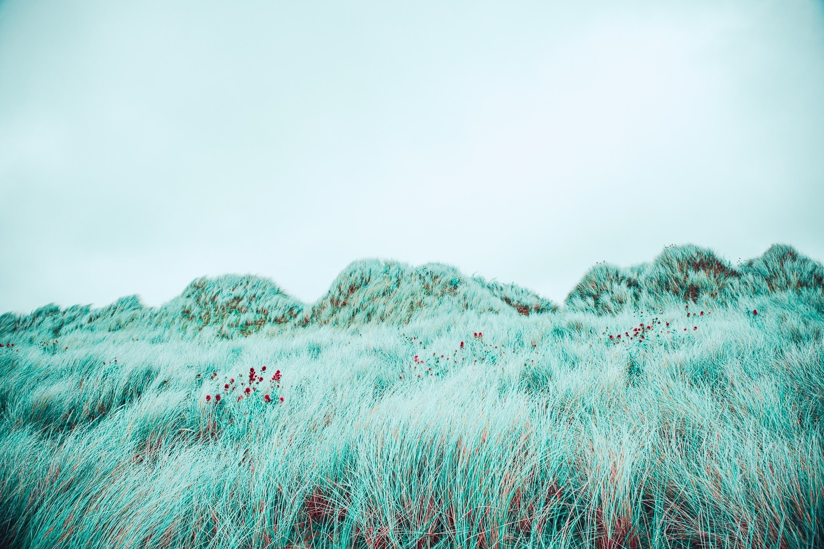 Les dunes de bretagne