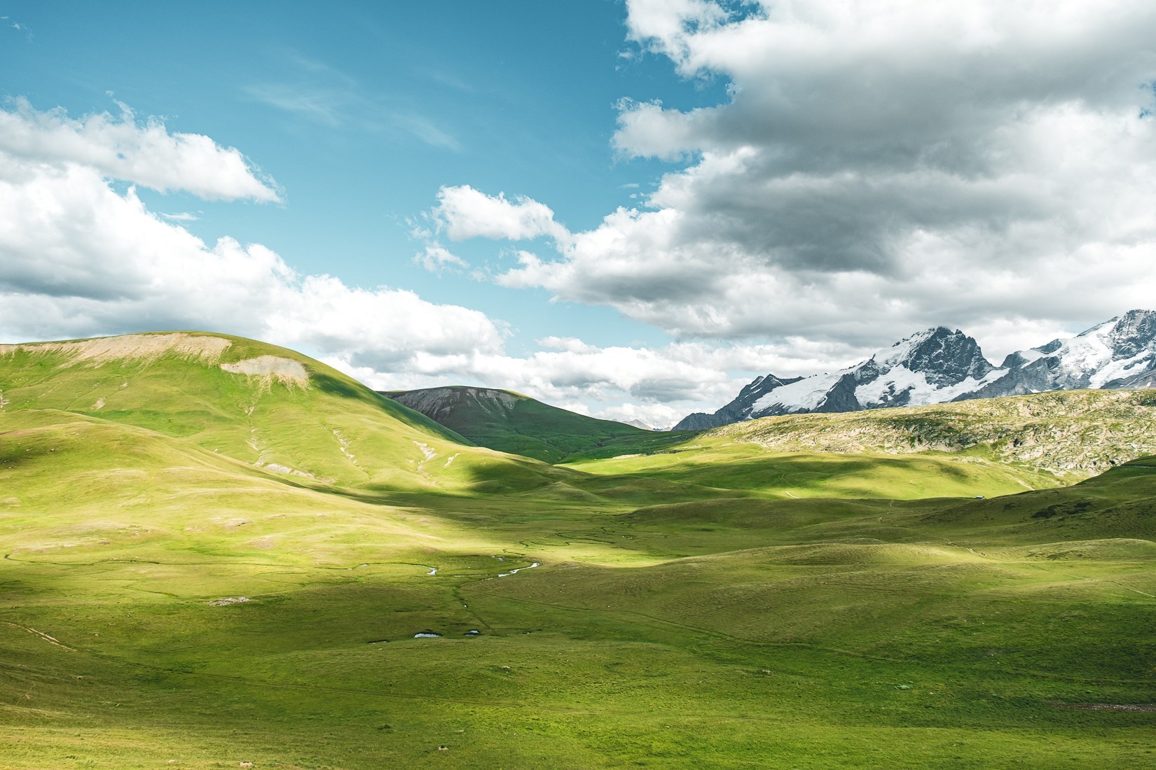 Le plateau d'Emparis l'été