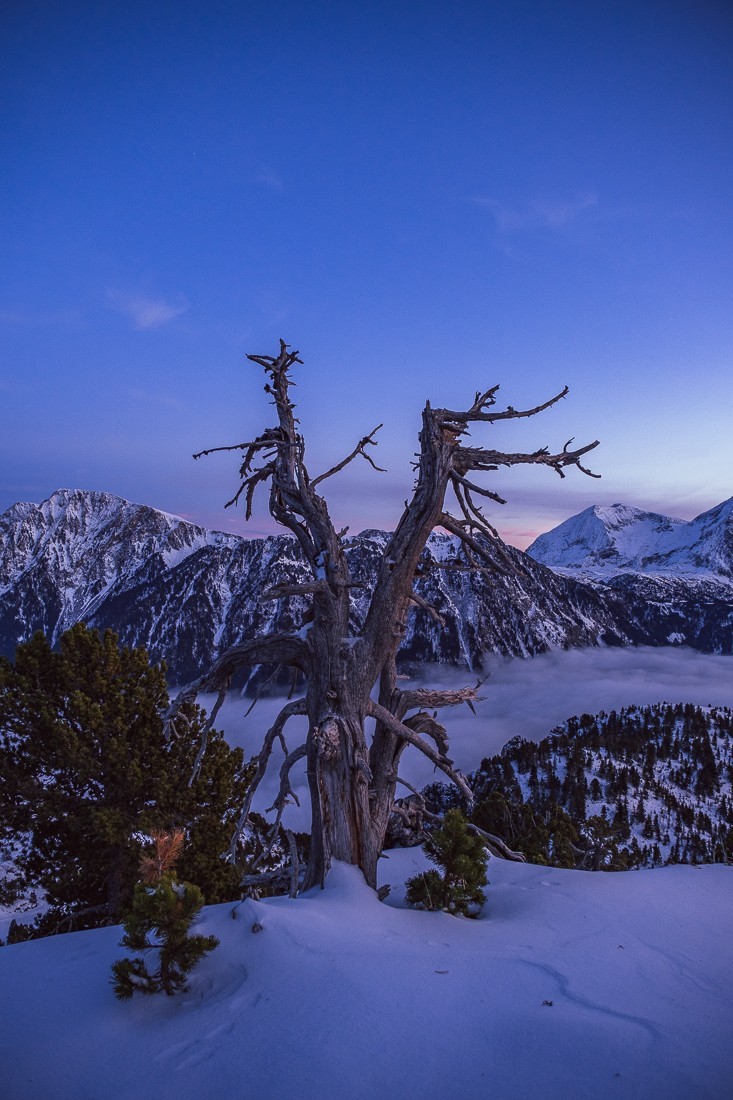 Le Taillefer depuis Chamrousse