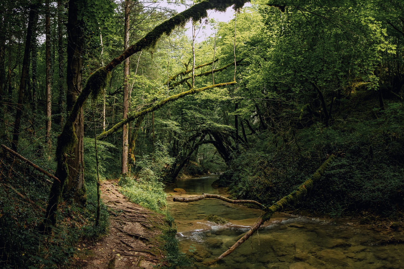 Cascades de la brive - Ain