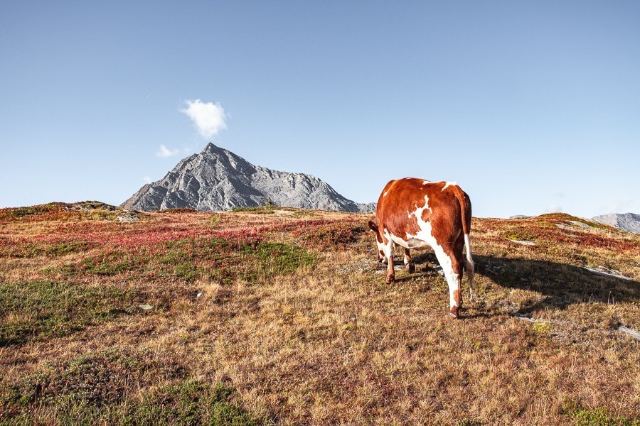 septmai-col-petit-mont-cenis-2