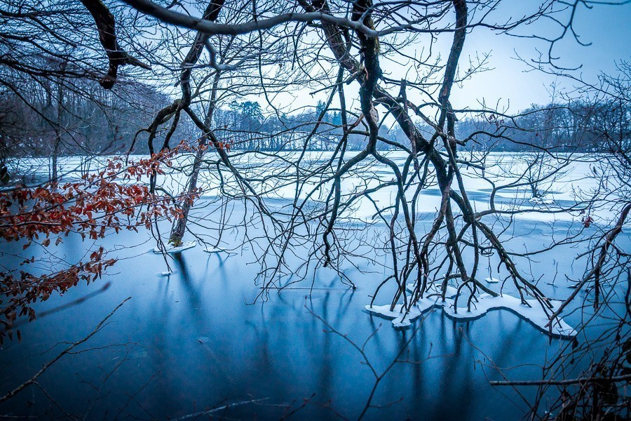 Etang de Malseroud