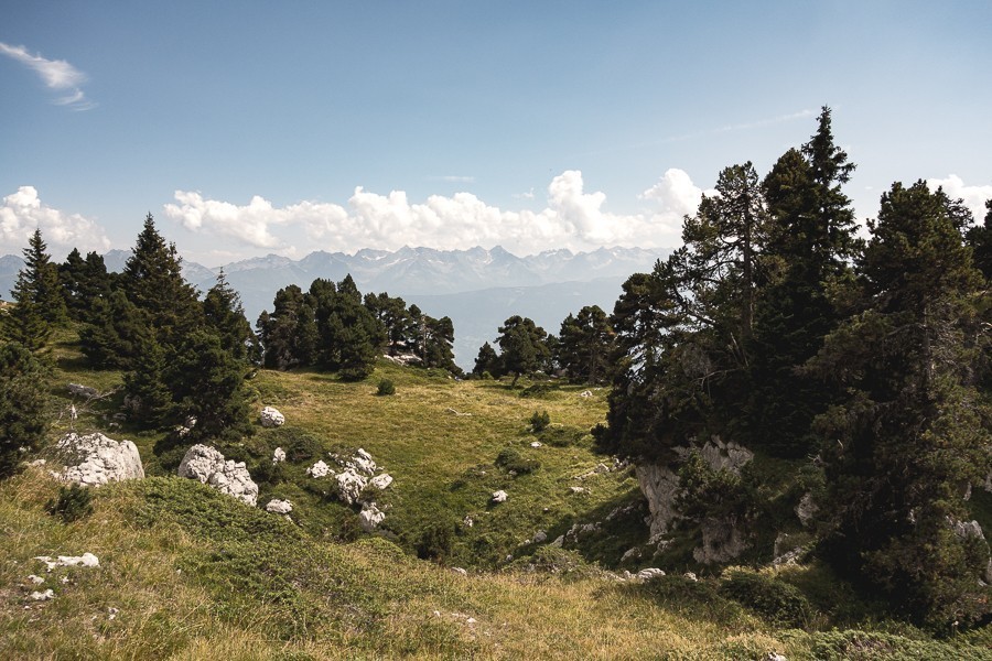 septmai-falaises-gresivaudan-3