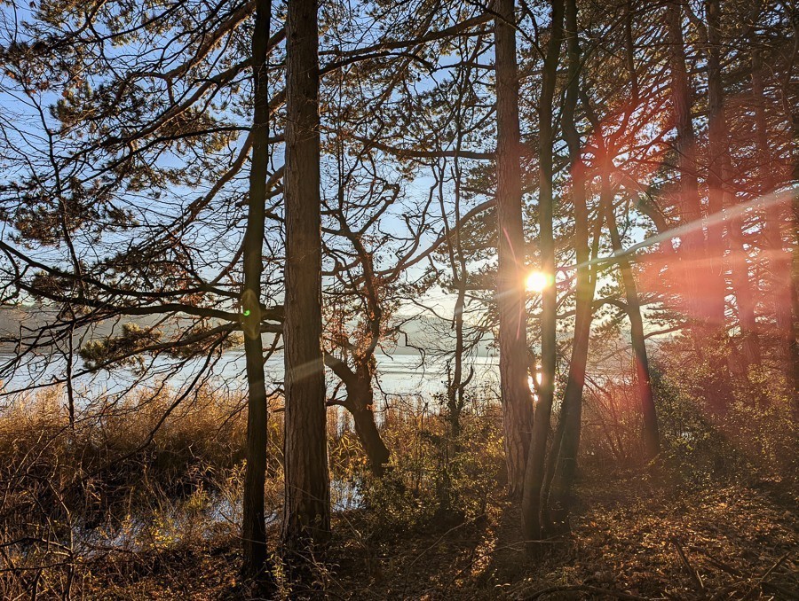 septmai-lac-st-quentin-fallavier-1