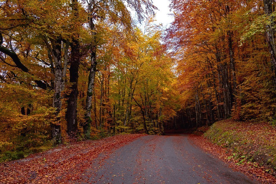 Sur les routes du Bugey