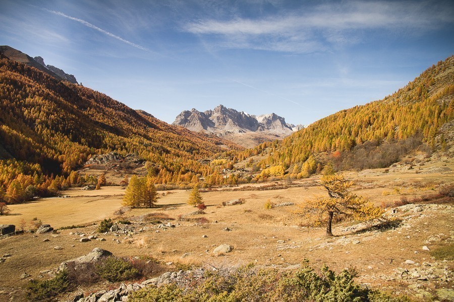 Vallée de la Clarée