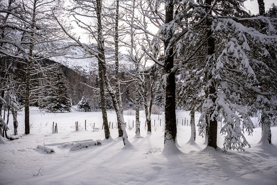 septmai-vallon-fauge-3